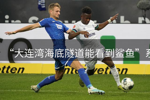 “大连湾海底隧道能看到鲨鱼”系谣言（2026·08·04）